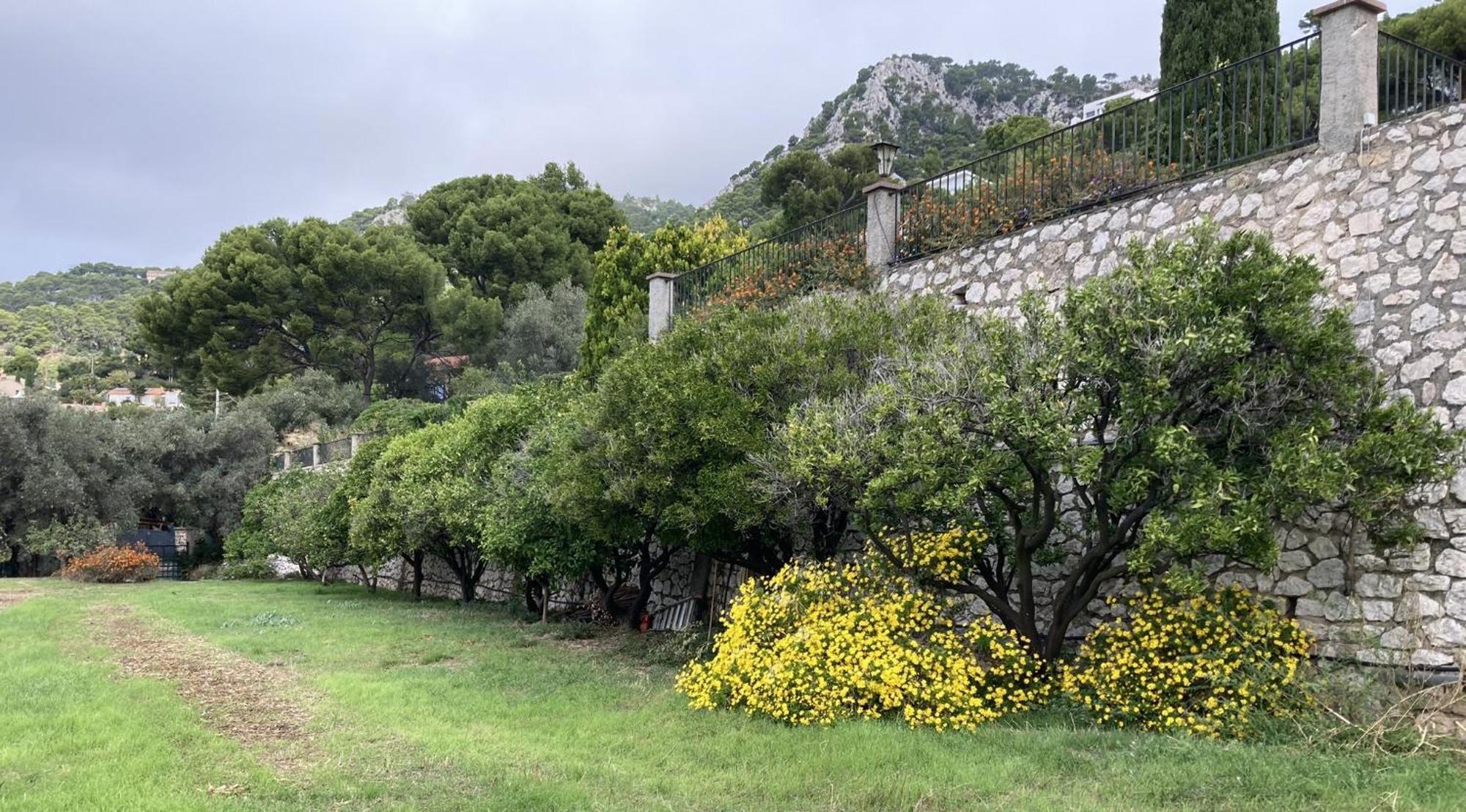 Mas Sainte Marie Apartman Toulon Kültér fotó
